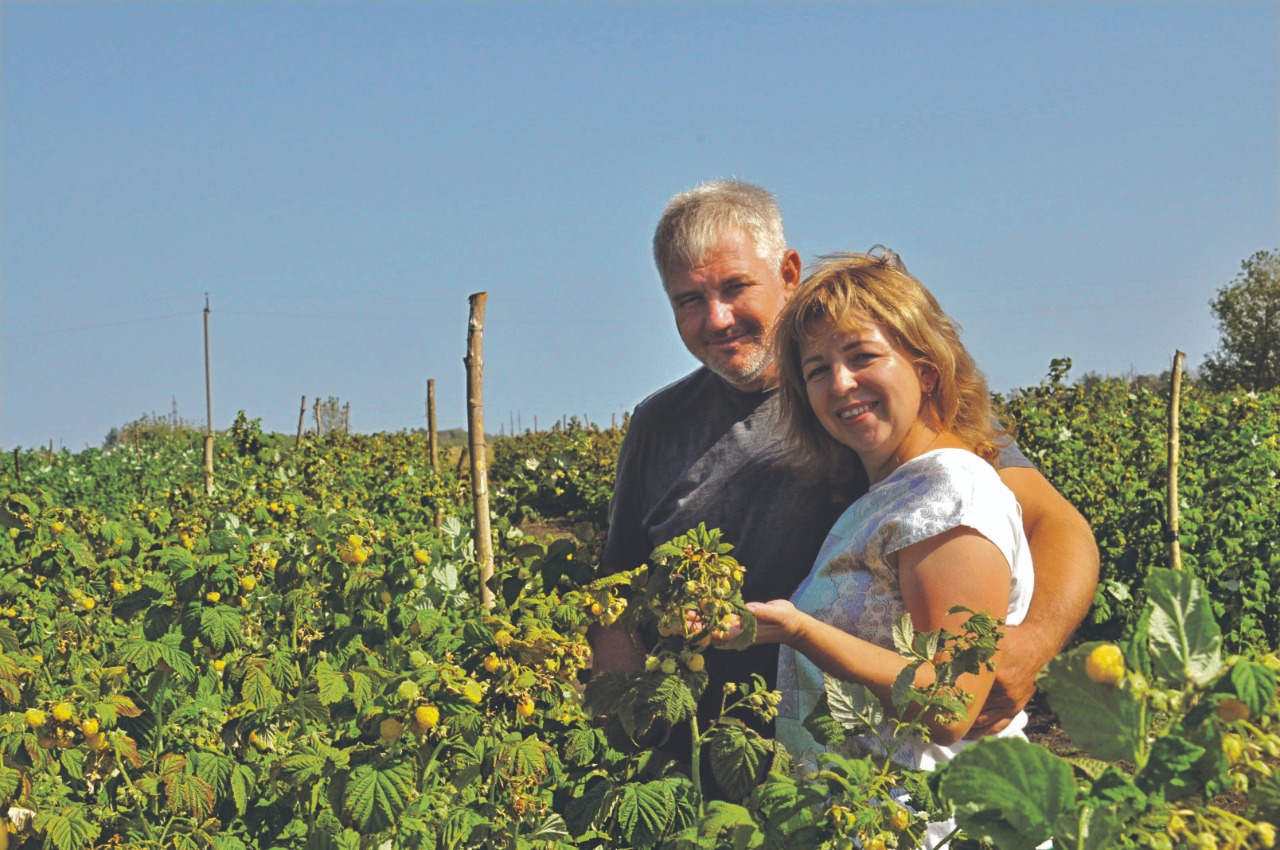 Нашего поля ягоды